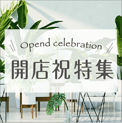 『開店祝』に贈ると喜ばれる観葉植物10選