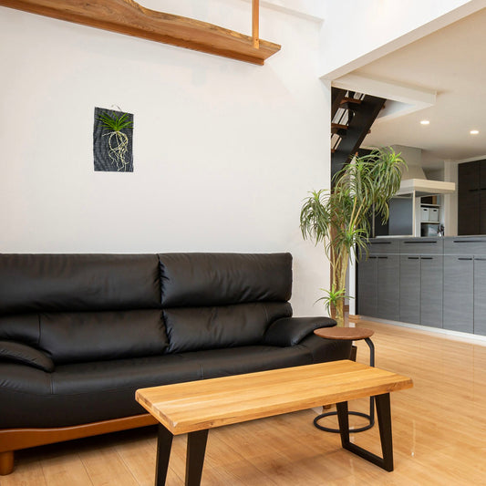 富貴蘭 風蘭 蘭 黄金鳥 おうごんのとり 選べるサイズ 黄色花 根 ポスト便 フウキラン フウラン 壁掛け 映え根 送料無料