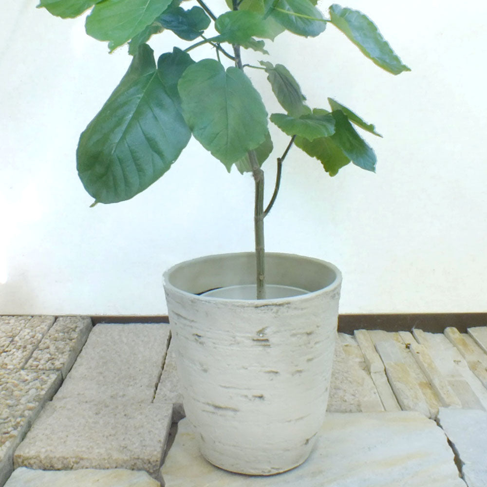 すてきな白鉢カバー 7号 合成樹脂(ファイバー入り) 軽い素材