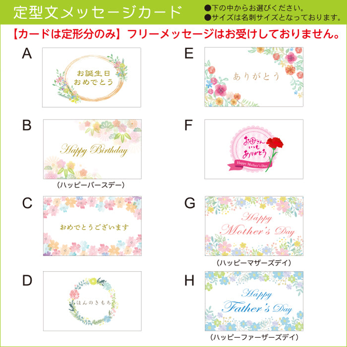 アイビー 3.5号 カラープラスチック鉢 黒皿付 ラッピング無料 お任せ1鉢 ホワイトワンダー ジェティー アダム バレーボブ イエローリップル