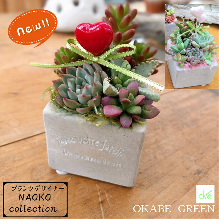 多肉植物 寄せ植え プランツデザイナーNAOKO セメント鉢 ハートピック ギャザリング