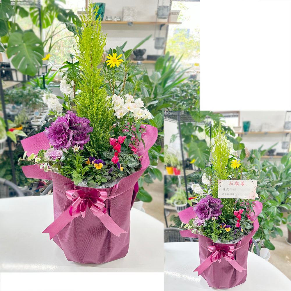 お正月花 飾り 寄せ植え 玄関 選べるサイズ 8号 10号 白黒セラアート鉢 受皿付 花の寄せ植え