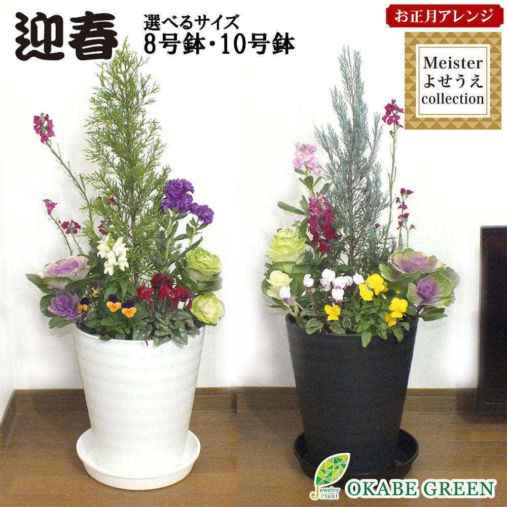 お正月花 飾り 寄せ植え 玄関 選べるサイズ 8号 10号 白黒セラアート鉢 受皿付 花の寄せ植え