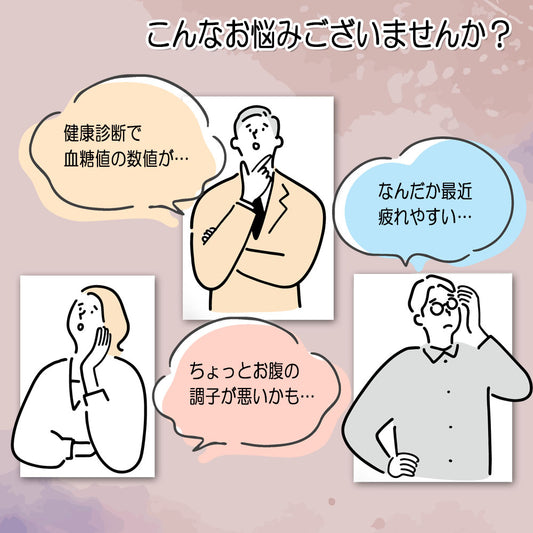 菊芋のちから 100g 流動層顆粒 ボトルタイプ 健康補助食品 サプリメント