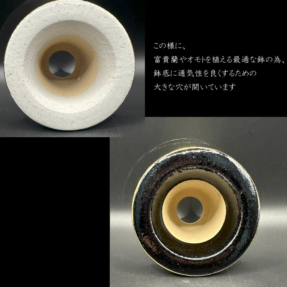 京楽焼 鉢 窯元 愛楽園 陶器鉢 鱗 ウコロ【1品1品手描きの為若干絵柄が変わります】