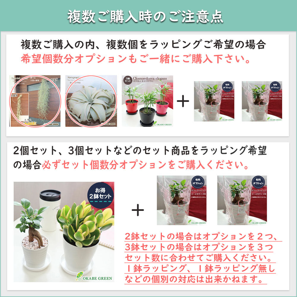 【有料ラッピングサービス】 3~4号鉢用 ミニ ラッピング