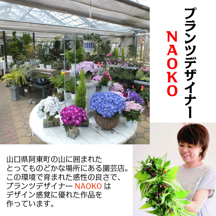 多肉植物 寄せ植え プランツデザイナーNAOKO セメント鉢 ハートピック ギャザリング