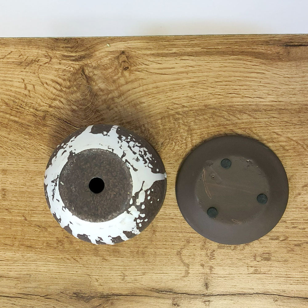 陶器鉢 3.5号 デザイン陶器 セラミック ソーサー付 選べるカラー ブラウン ホワイト 送料無料 DB60