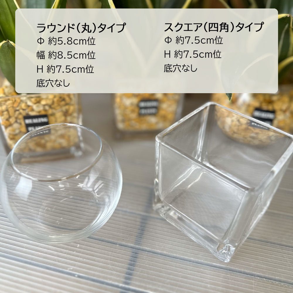 ガラス器 クリア ガラスポット 選べる形 スクエア ラウンド プランター花器