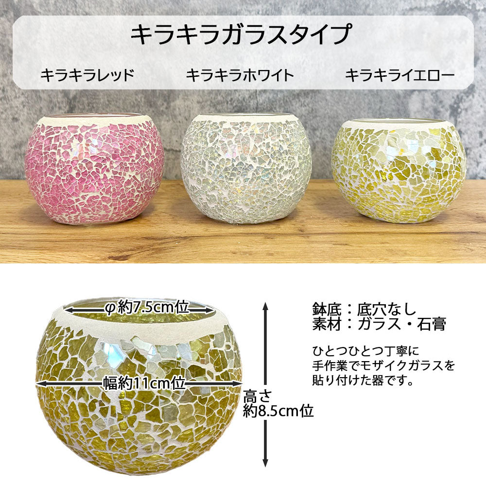ガラス器 クリア ガラスポット 選べる形 スクエア ラウンド プランター花器