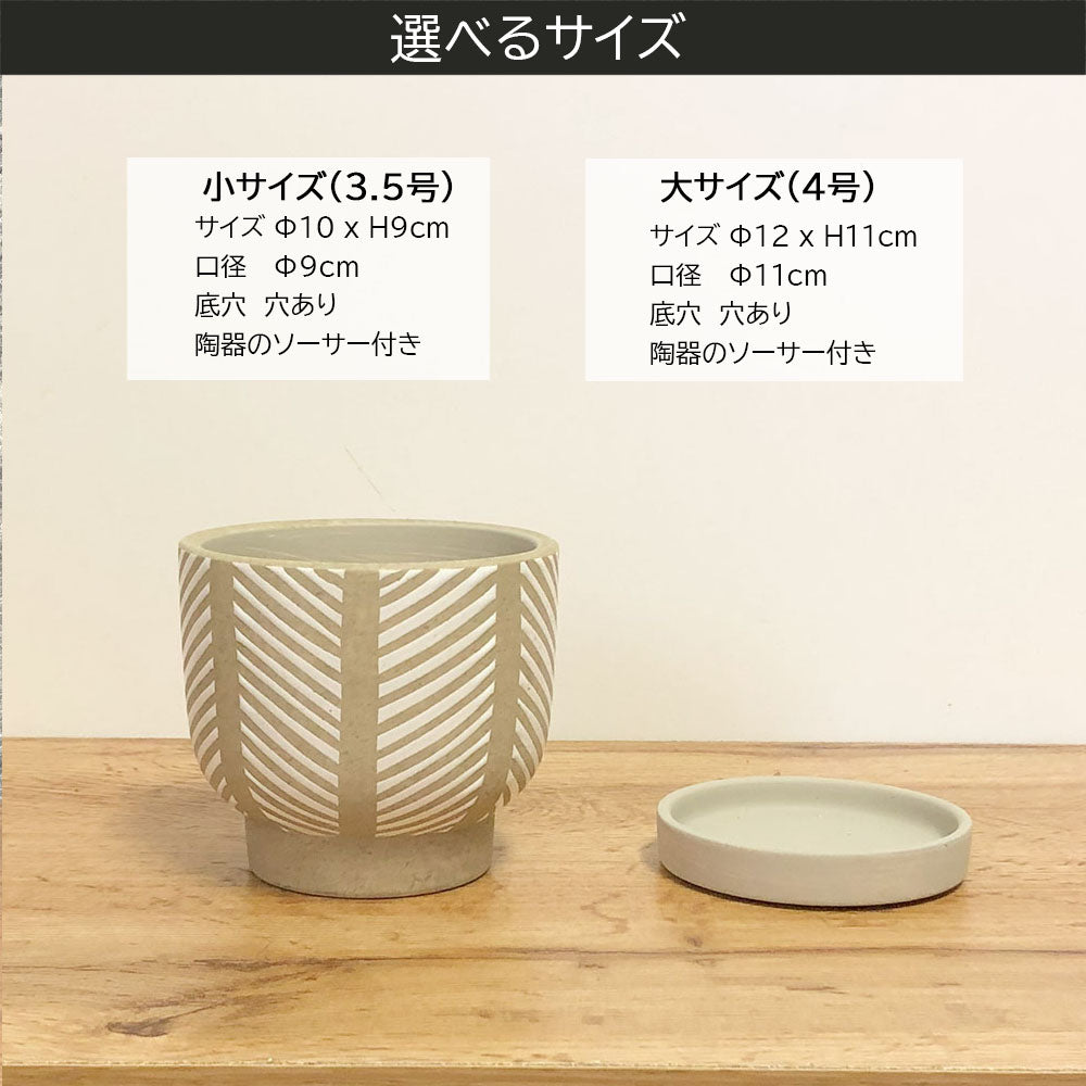 鉢 おしゃれ 陶器鉢 選べるサイズ 3.5号 4号 デザイン陶器 ソーサー付 ブラウン ホワイト