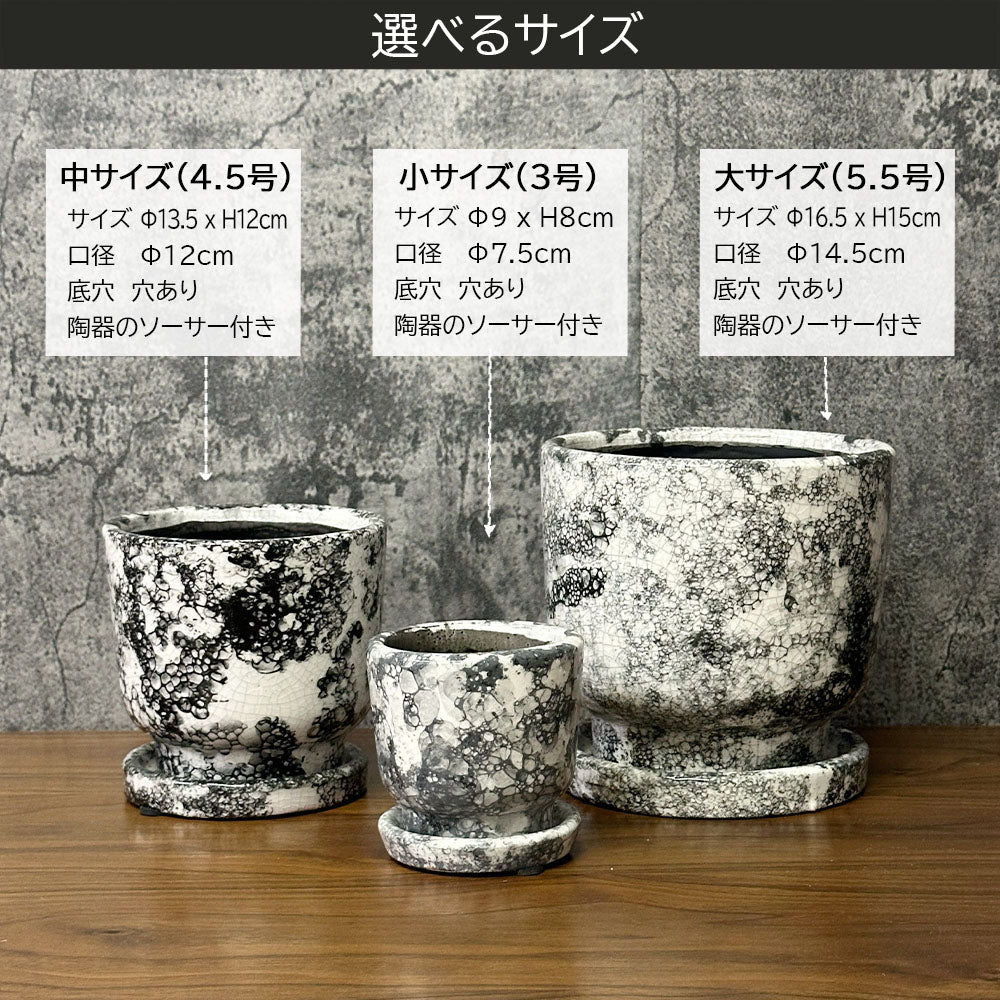 鉢 選べるサイズ 3号 4.5号 5.5号 デザイン陶器鉢 送料無料