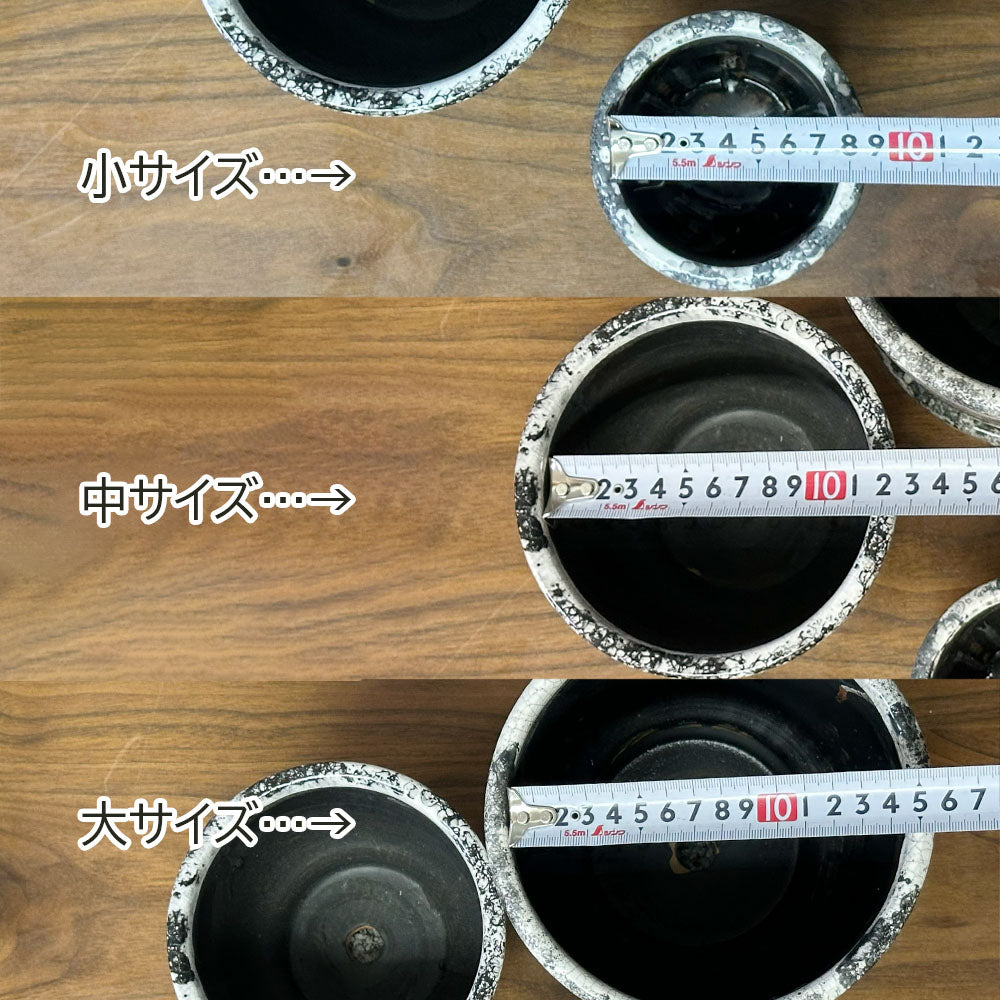 鉢 選べるサイズ 3号 4.5号 5.5号 デザイン陶器鉢 送料無料