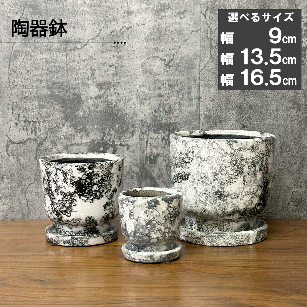鉢 選べるサイズ 3号 4.5号 5.5号 デザイン陶器鉢 送料無料