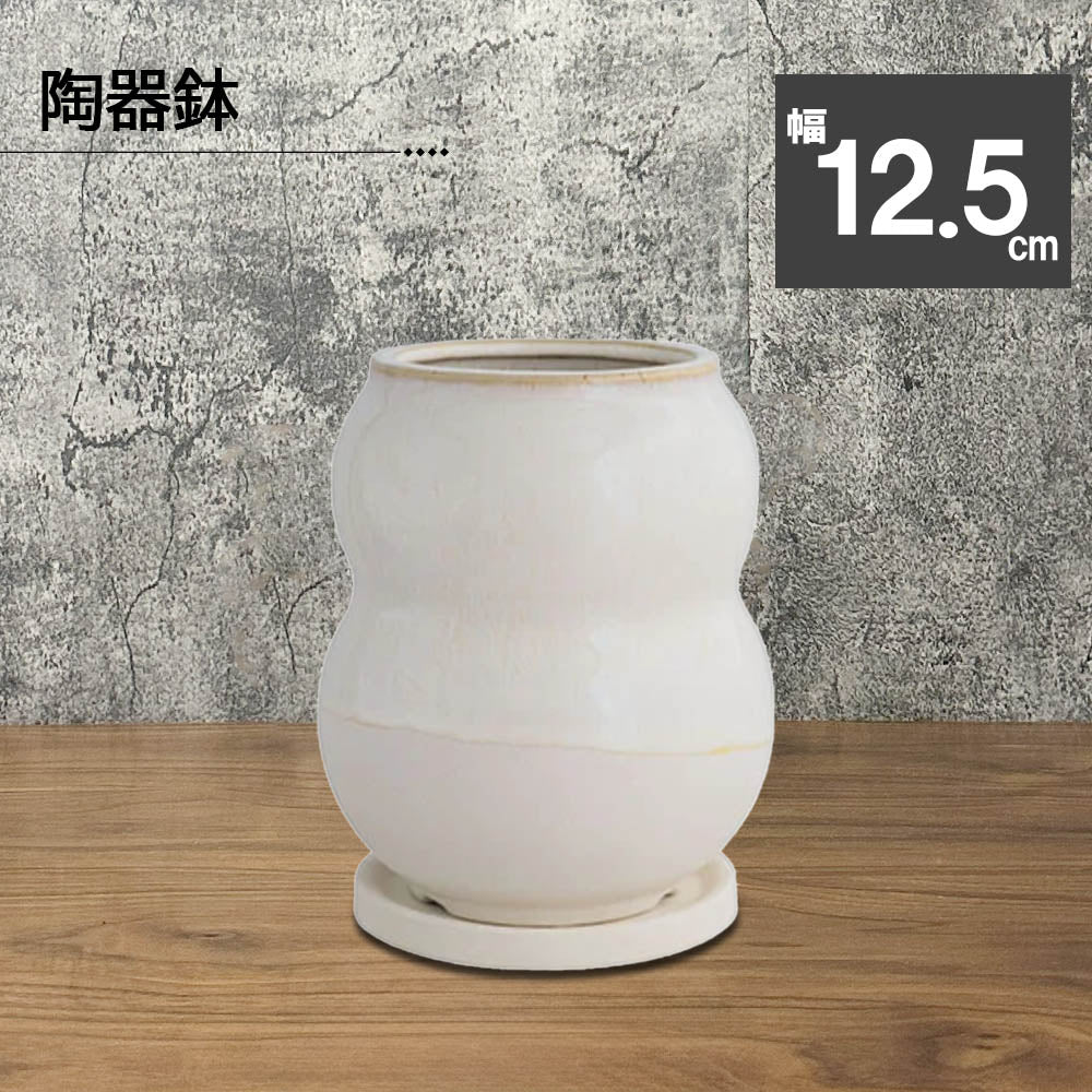陶器鉢 BOEX モーフ デュオトール 12.5cm