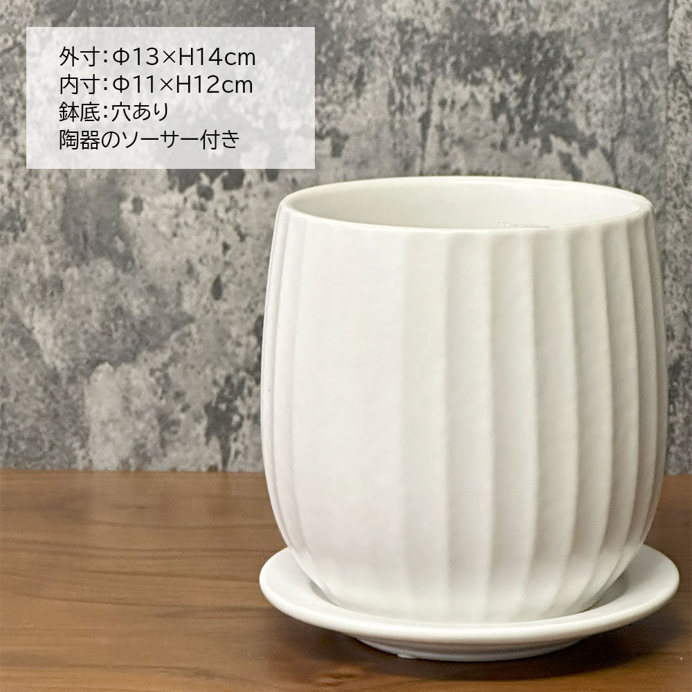 鉢 4号 おしゃれ 陶器鉢 白 デザイン陶器 マット ボールプリーツ