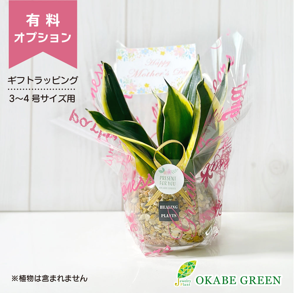 【有料ラッピングサービス】 3~4号鉢用 ミニ ラッピング