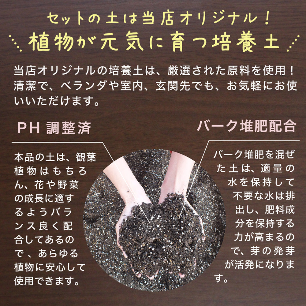 培養土 【容量が選べる】 植え替え土セット 選べる内容量 4号 5号 6号 7号 8号 9号 10号鉢用
