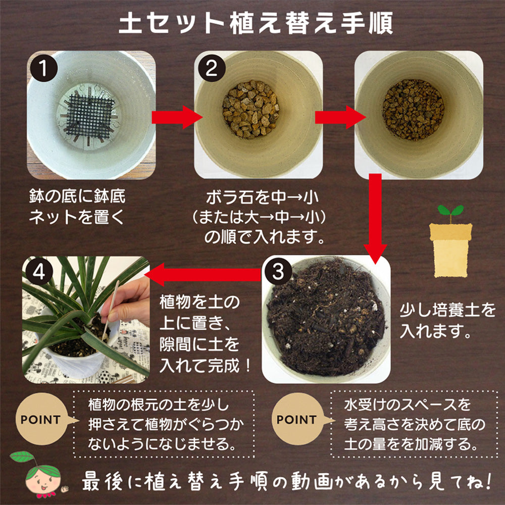 培養土 【容量が選べる】 植え替え土セット 選べる内容量 4号 5号 6号 7号 8号 9号 10号鉢用