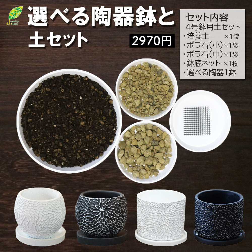 培養土 【陶器と土セット】 植え替え土 陶器鉢 セット 4号鉢 選べる陶器鉢