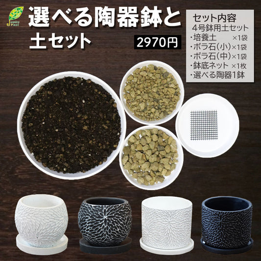 培養土 【陶器と土セット】 植え替え土 陶器鉢 セット 4号鉢 選べる陶器鉢