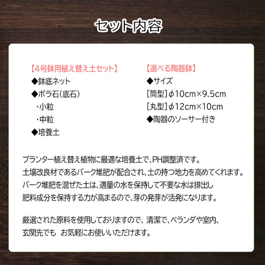 培養土 【陶器と土セット】 植え替え土 陶器鉢 セット 4号鉢 選べる陶器鉢