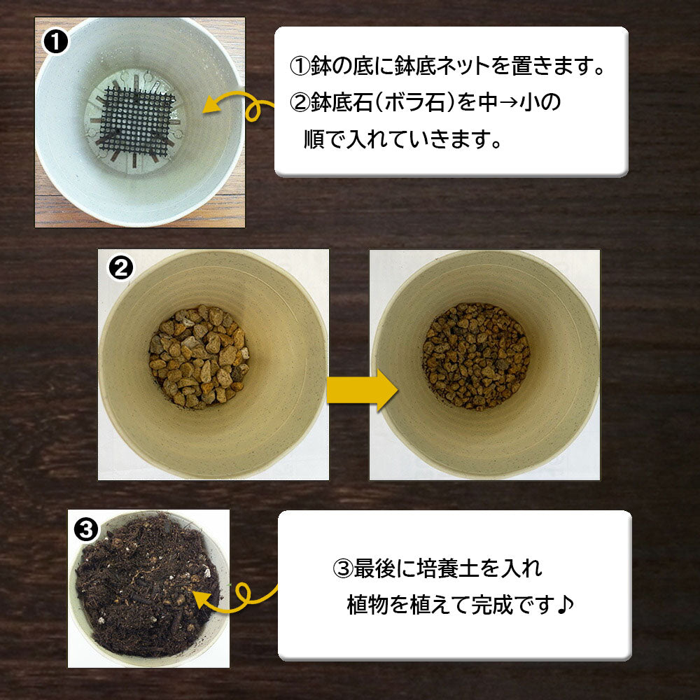培養土 【肥料と土セット】 観葉植物 植え替え 4号土セット まとめ買い お手軽 簡単に植え替え出来る