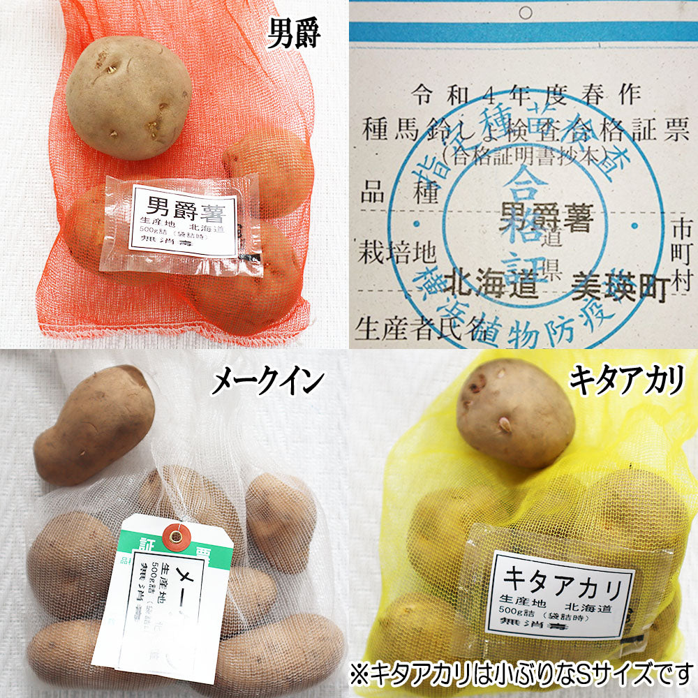 種芋 じゃがいも 500g 春植え 選べる品種 男爵 メークイン キタアカリ M S サイズ 混合 送料別