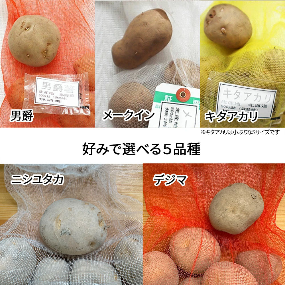 種芋 じゃがいも 5kg 秋植え 選べる品種 男爵 メークイン キタアカリM S サイズ 混合