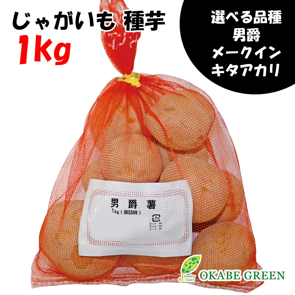 種芋 じゃがいも 1kg 秋植え 選べる品種 男爵 メークイン キタアカリ M S サイズ 混合 送料別