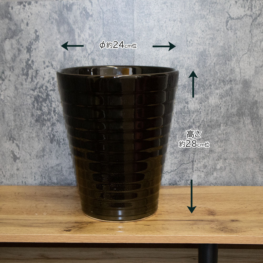 鉢 おしゃれ 陶器鉢 8号 黒横縞陶器 黒