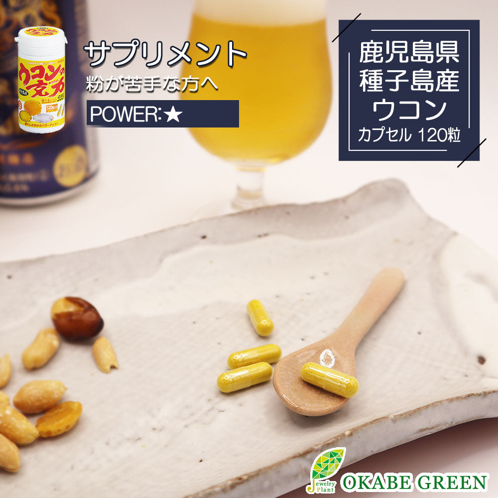 ウコンの活力 カプセル 120粒 健康補助食品 サプリメント