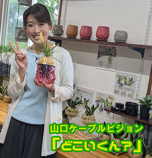 【お知らせ】T山口ケーブルビジョンの『どこいくん？』で当店が紹介されます！6/1から1ヶ月間放送♪