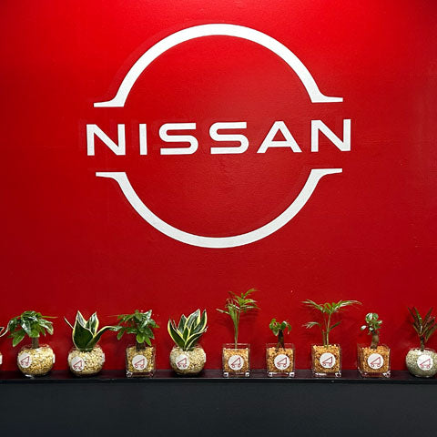 日産小郡インター店様ご納車プレゼントにハイドロカルチャーをお届けしました