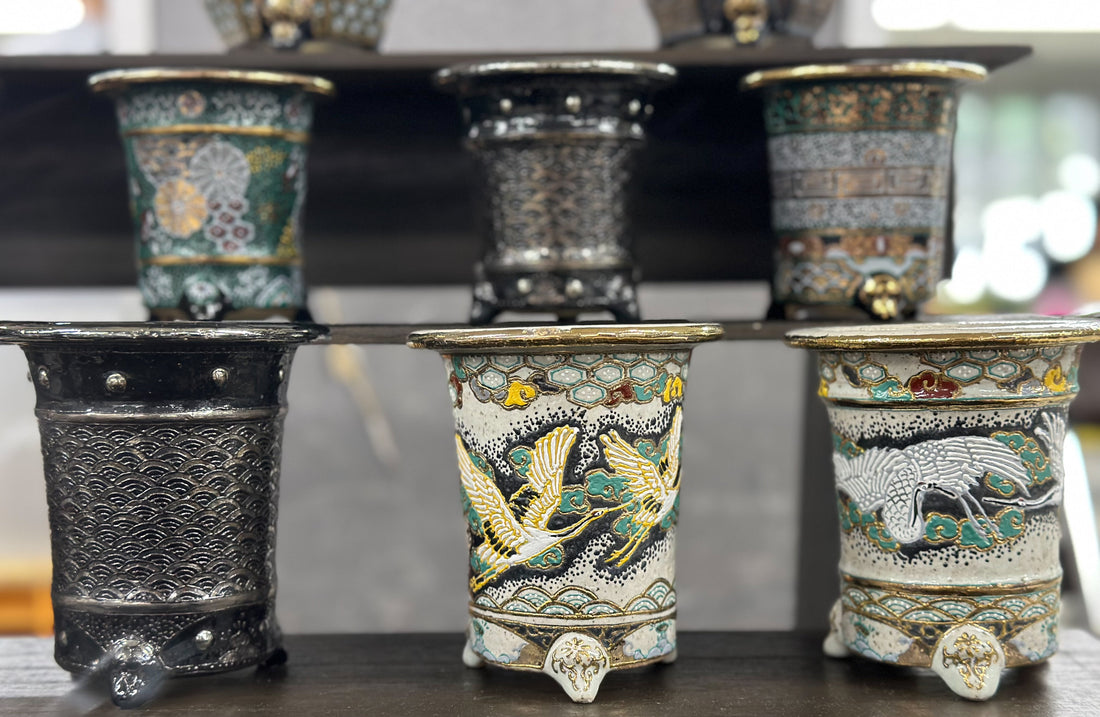 富貴蘭 | 京楽焼鉢の美しさ・魅力に魅せられて　世界に1つだけの価値
