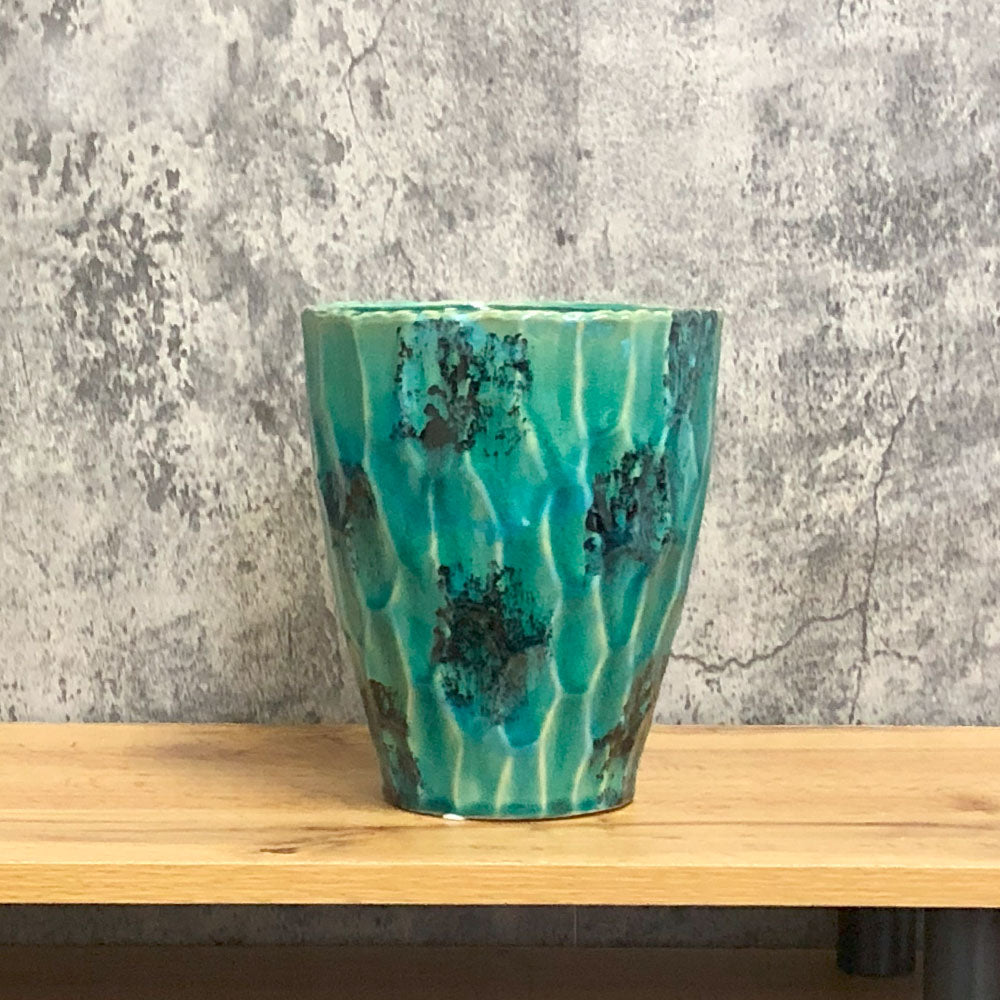 健康運アップ！風水効果を高める観葉植物の鉢の色選び – Jewelry Plant