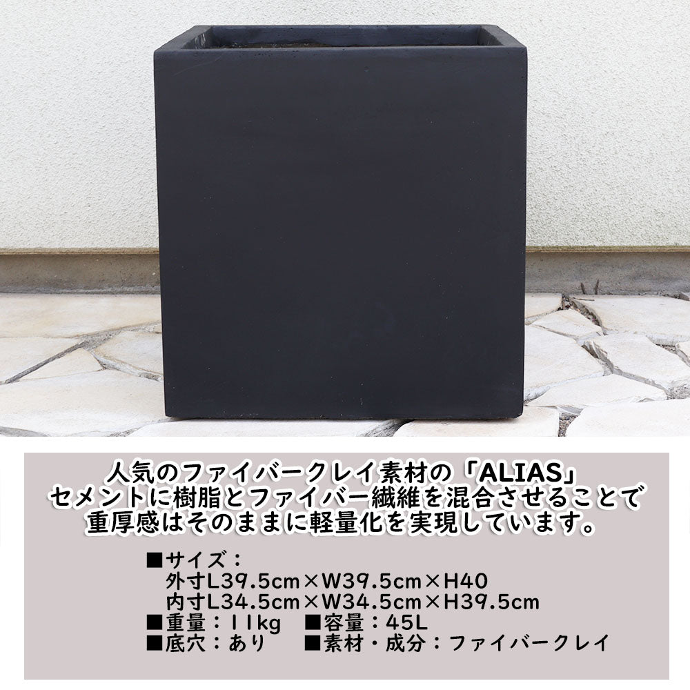 ココスヤシ  10号 【現品】 エイリアス キューブ 受皿付 鉢40cm 大型