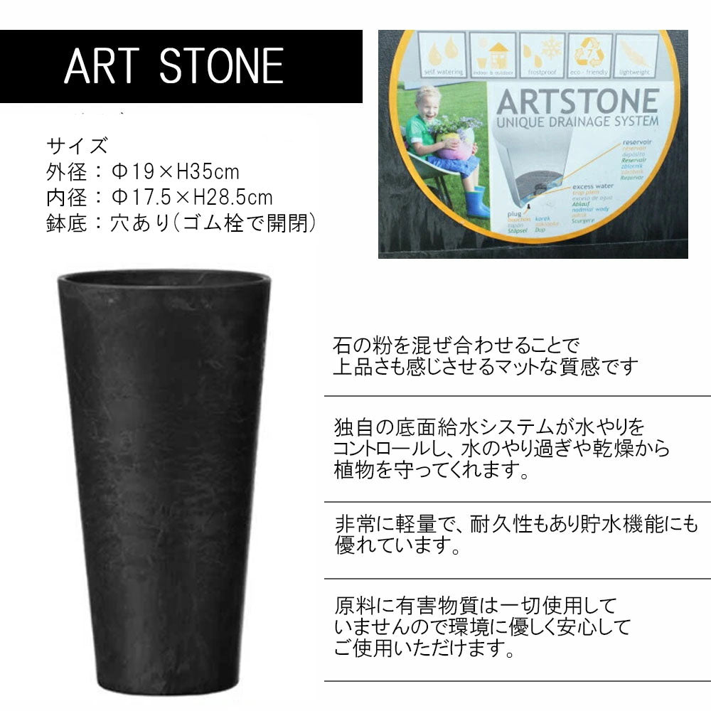 【希少品種】 センナ メリディオナリス 【現品】 ３号 選べる樹形 デザイン陶器鉢