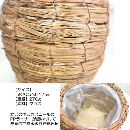 グラス鉢カバー ５号用 PPライナー付 送料別