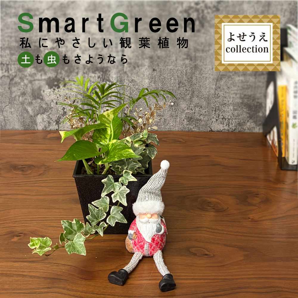 観葉植物 ハイドロカルチャー 寄せ植え ハイドロボール 土を使わない ラッピング無料 アイビー テーブルヤシ ポトス 送料無料