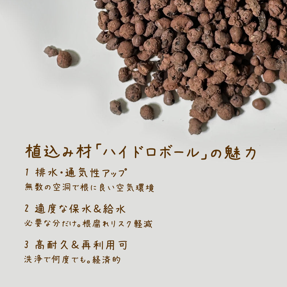 観葉植物 ハイドロカルチャー 寄せ植え ハイドロボール 土を使わない ラッピング無料 アイビー テーブルヤシ ポトス 送料無料