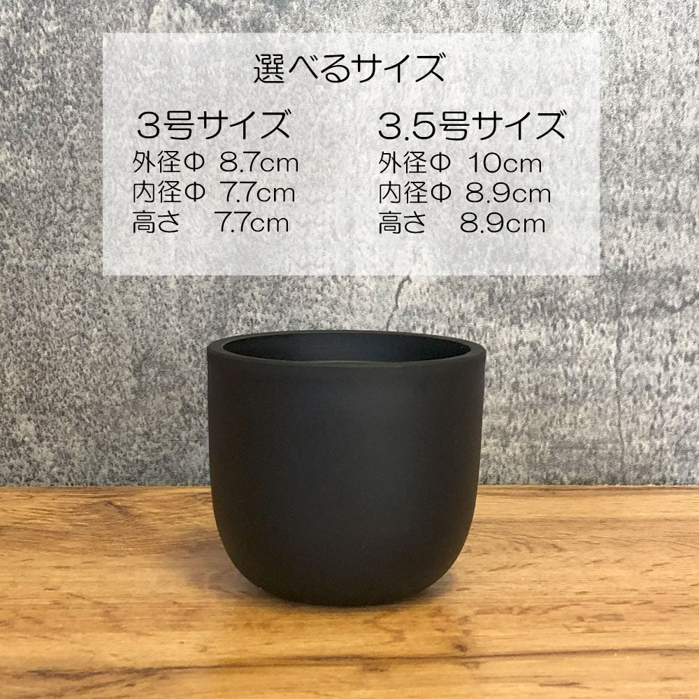 黒ポット プラスチック鉢 マット ブラック 3号 3.5号 ラウンド型 黒 鉢植え 送料無料
