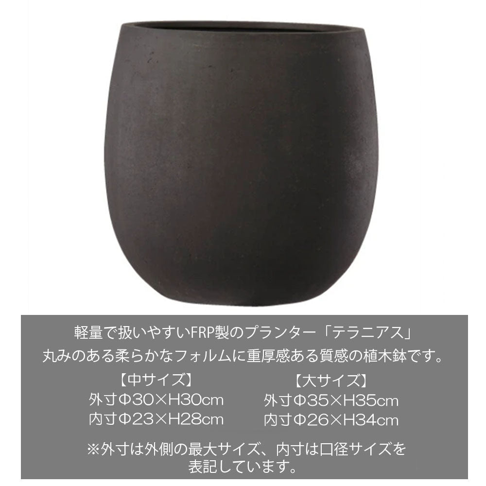 鉢 テラニアス 10号 アンティークブラウン エッグ型 送料別