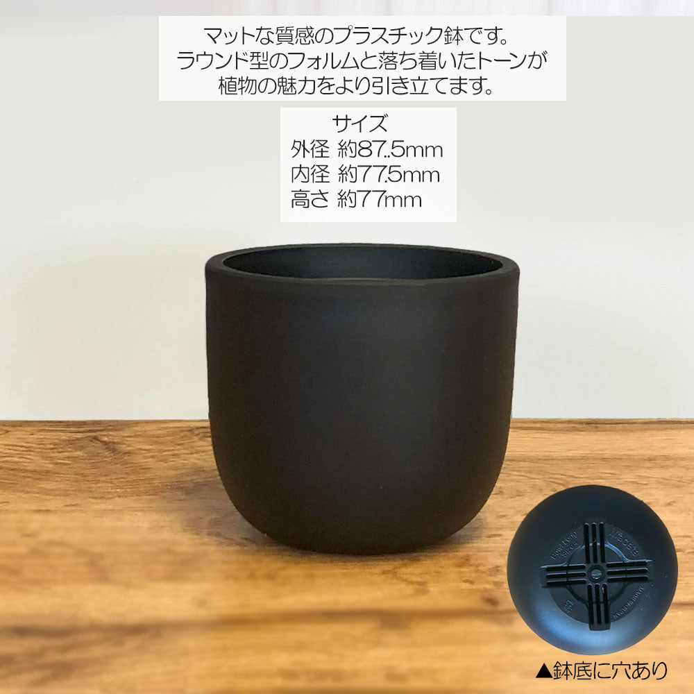 NEIGHBORHOOD SRL. POT 黒プラ鉢 大鉢 新品未使用 - メルカリ