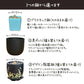 【希少品種】 ブラキステルマ スペック タイランド ミニ 【現品】 選べる樹形 選べる鉢