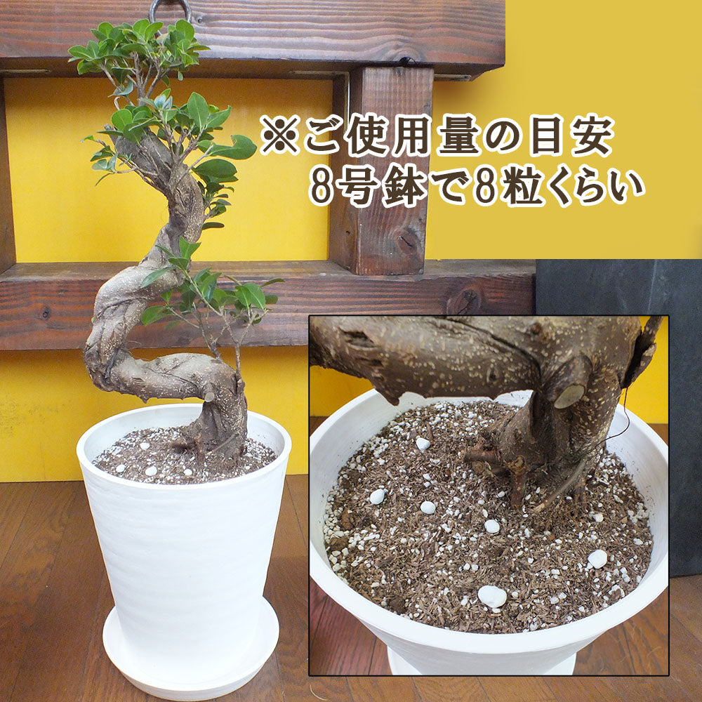 観葉植物専門店【Jewelry Plant】 IB化成 尿素入り 肥料 100g 観葉植物