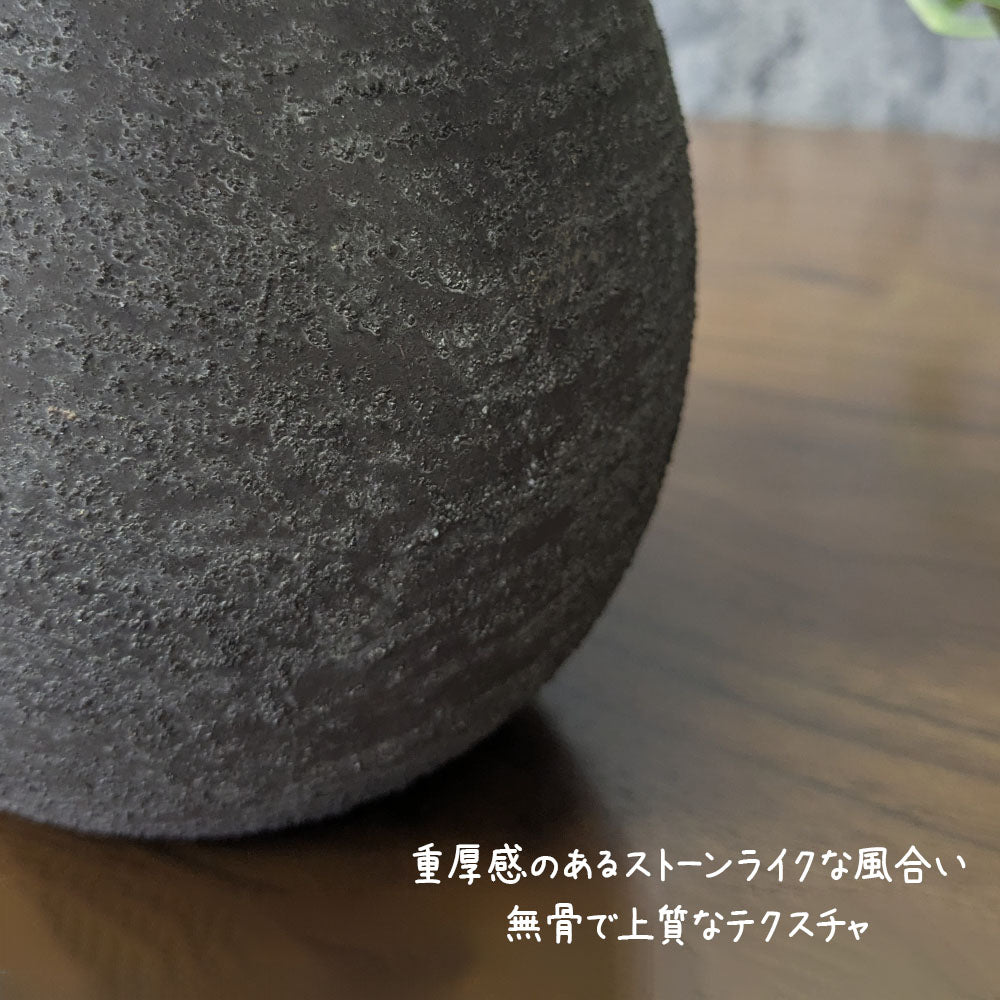 フィロデンドロン バーキン 5号 選べる樹形 丸陶器鉢 送料無料