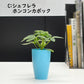 選べる 観葉植物 サンスベリア シェフレラ ガジュマル パキラ テーブルヤシ ドラセナ ポリシャス コーヒーの木 クロトン プラスチック鉢