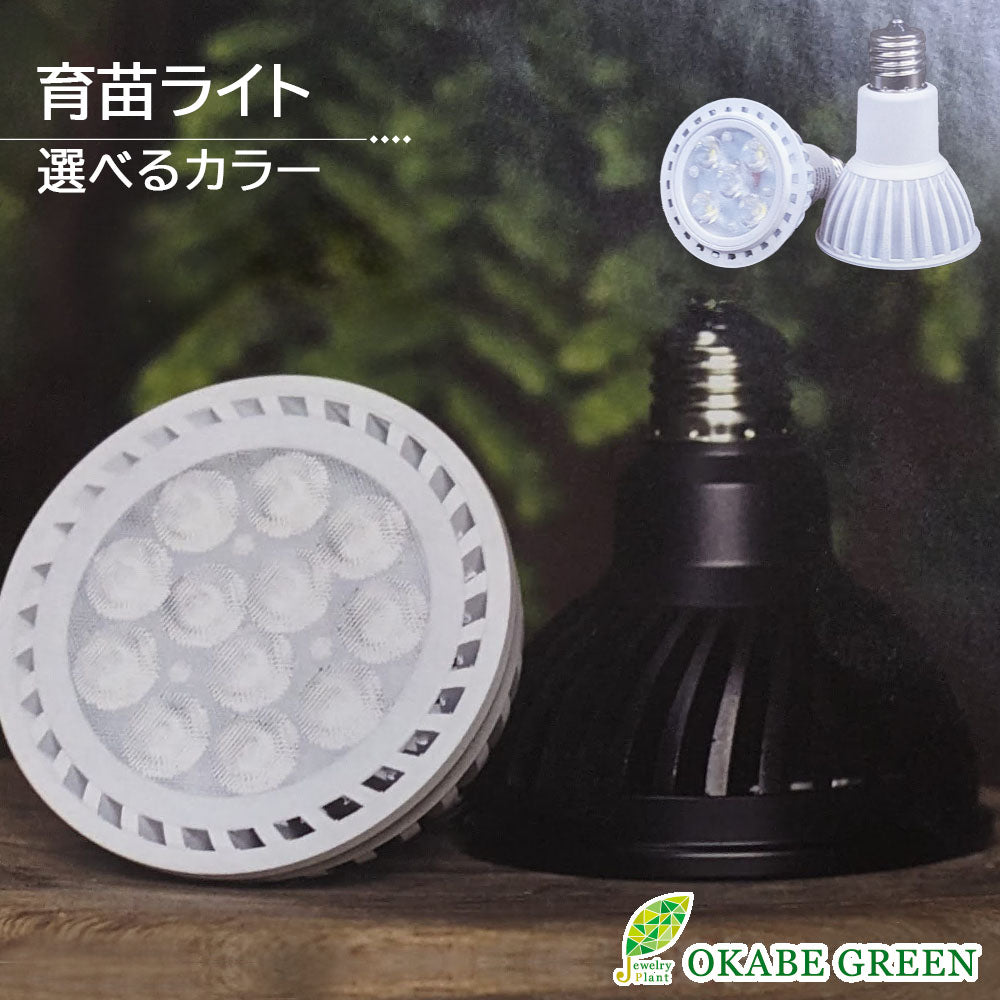 宝石のような観葉植物のお店 【Jewelry Plant】 植物育成ライト 育苗ライト LED 育成ライト 多肉植物 暖色LED プラントライト  植物育成用ランプ – Jewelry Plant online