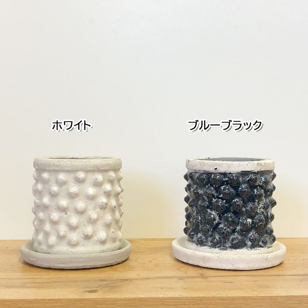 陶器鉢 4号 デザイン陶器 ソーサー付 選べるカラー ブラック ブルー ホワイト 送料無料 [AD20-120/DB60]